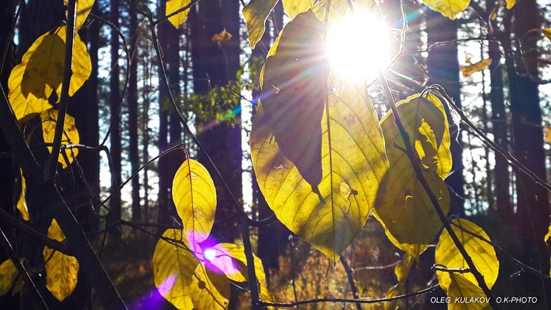 samsung, galaxy, 4 The magic of light..photo preview