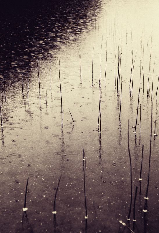 Photo, photo studio, photo travel, photo nature, woomen Texturephoto preview