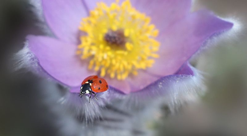 Готовимся в полёт!photo preview