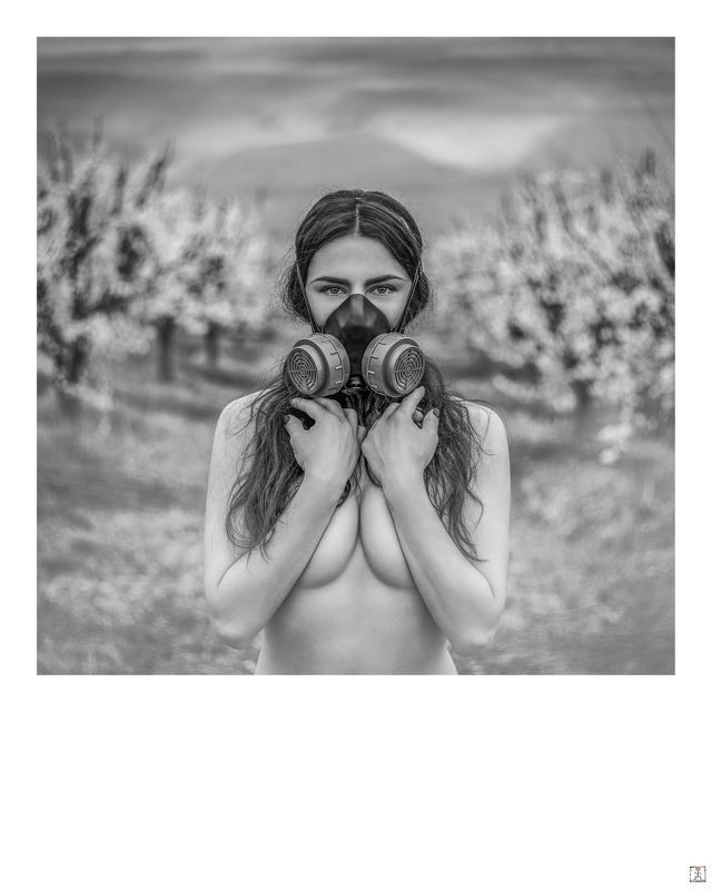 *** ***photo preview