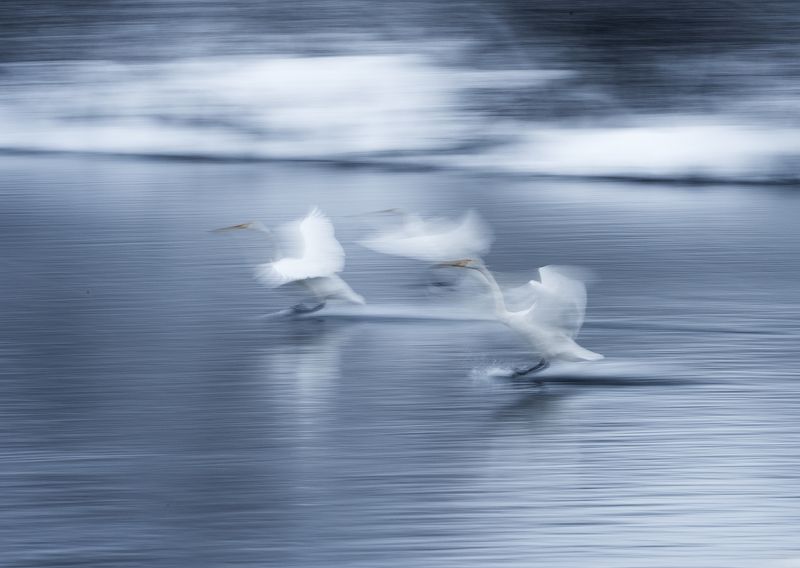 In motionphoto preview