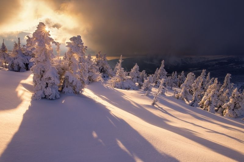 frozen, winter, mountains, czechia,snow, A moment of lightphoto preview