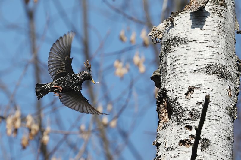 для любимойphoto preview