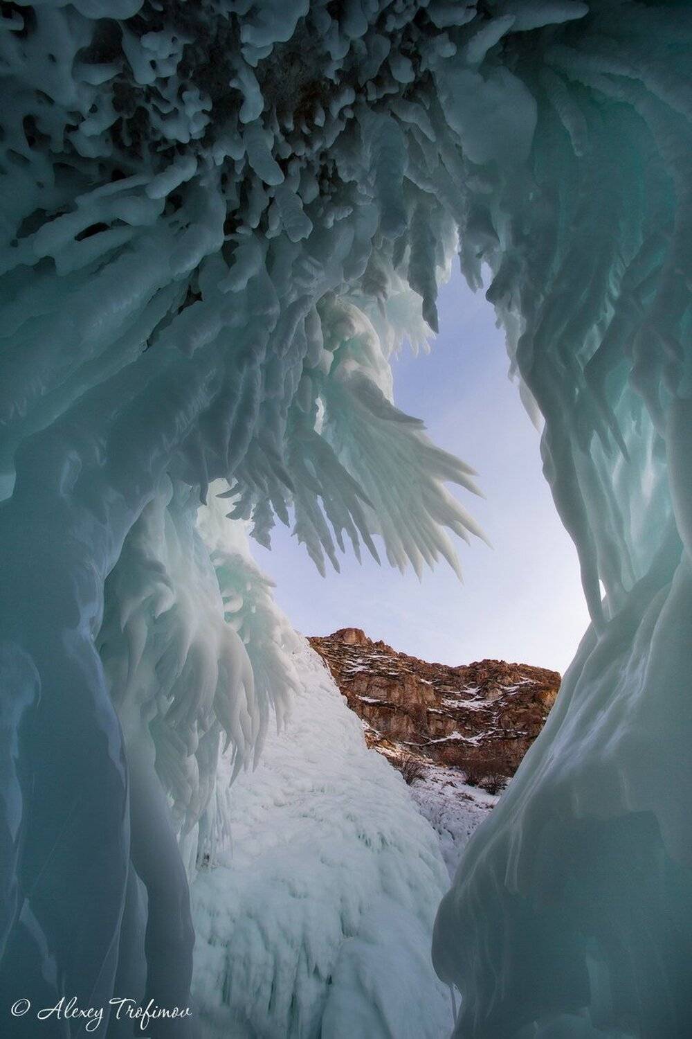 , Алексей Трофимов