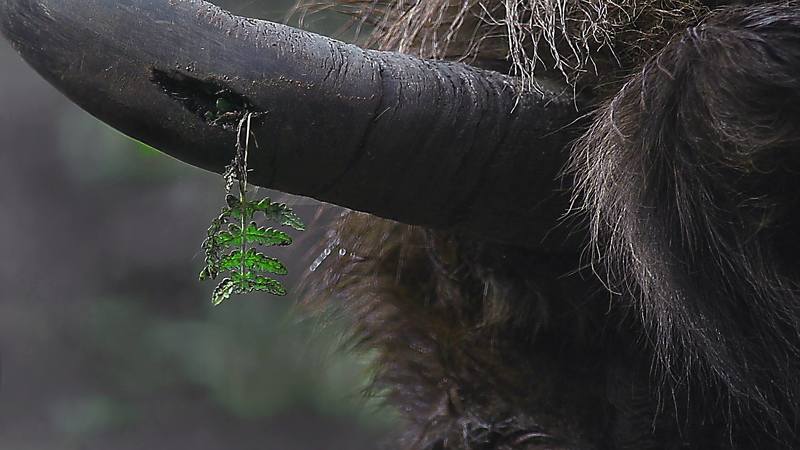 Жизнь зарождаетсяphoto preview