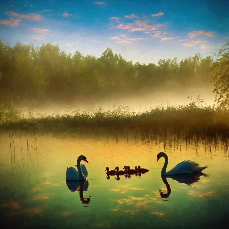 туман Туманphoto preview