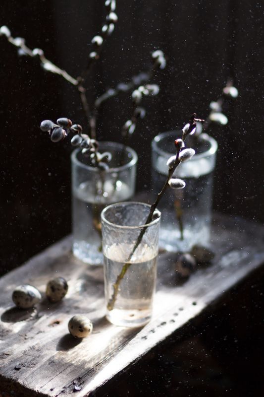 весна, веточки, солнце, стакан, свет, яйцо Весенняя пыльphoto preview