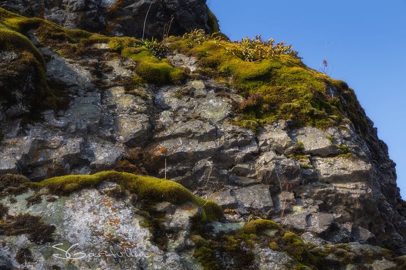 урал, средний урал, ревун, исеть, скала, скалы, мох Уральская фактураphoto preview