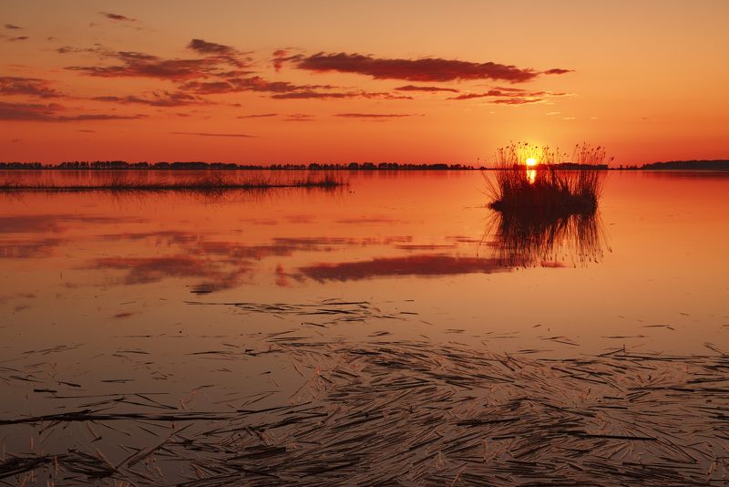 Где-то на Онего... фото превью