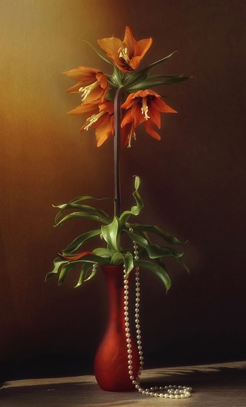 Dream flowerphoto preview