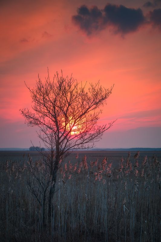 sky colors sunset clouds countryside outdoors Poland Podlasie Fiery sunset over Biebrza marshlandphoto preview