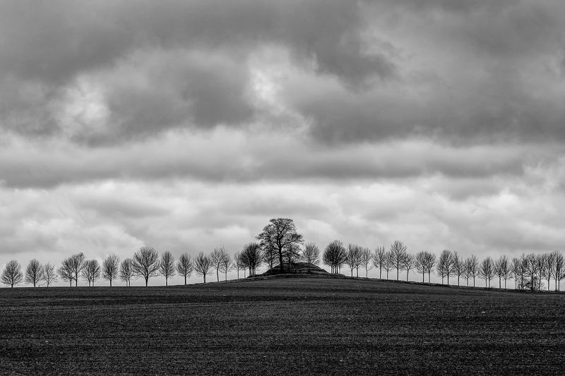 Hа вершине холмаphoto preview