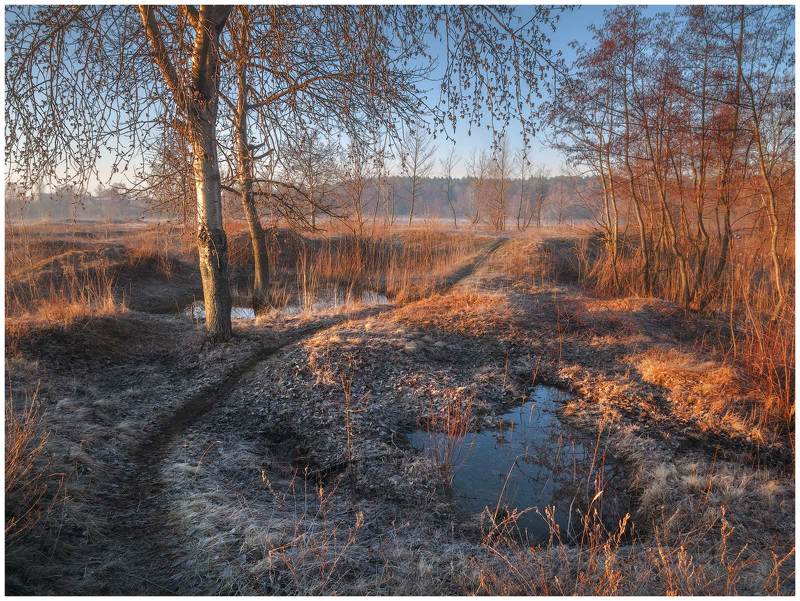 весна,луг,пейзаж,рассвет,тропинка,утро,весенний пейзаж,заморозок,паводок,весеннее фото Прогулка весенним утромphoto preview