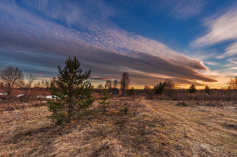 великий двор, весна, вологодчина, кема, север Весенняя.photo preview