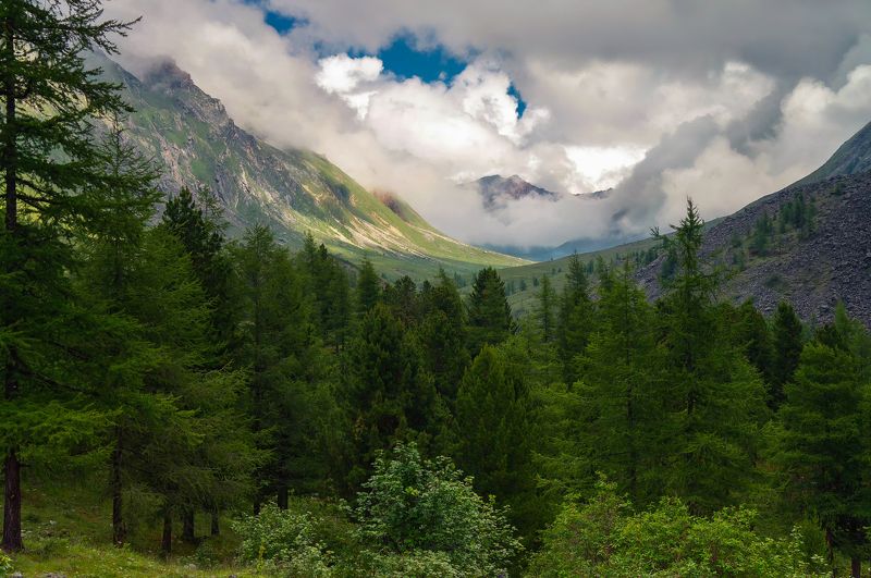 Восточные Саяны,горы,тропа на Шумак, верхняя граница леса,облака Граница леса...photo preview