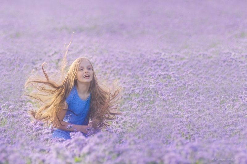 phacelia girl ...photo preview