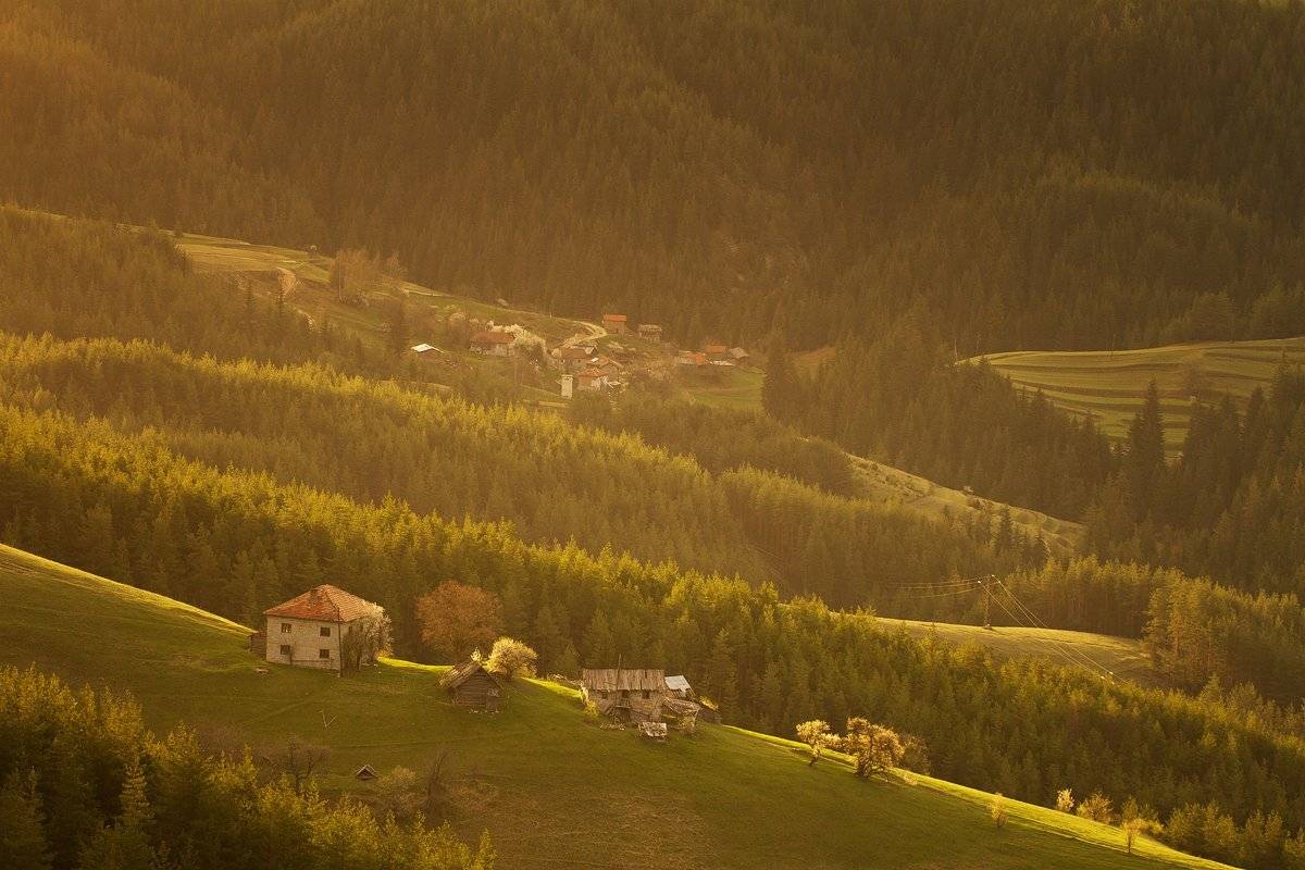 mountain, forest, spring, bulgaria, Vladimir