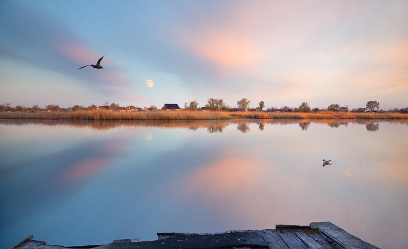 Очаровано...photo preview