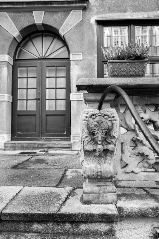 Life is...photo preview