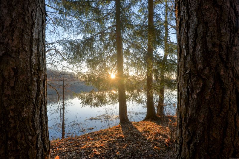 #пейзаж #весна #подмосковье #чехов #красиво #природа #восход #утро / Окно в весну /photo preview