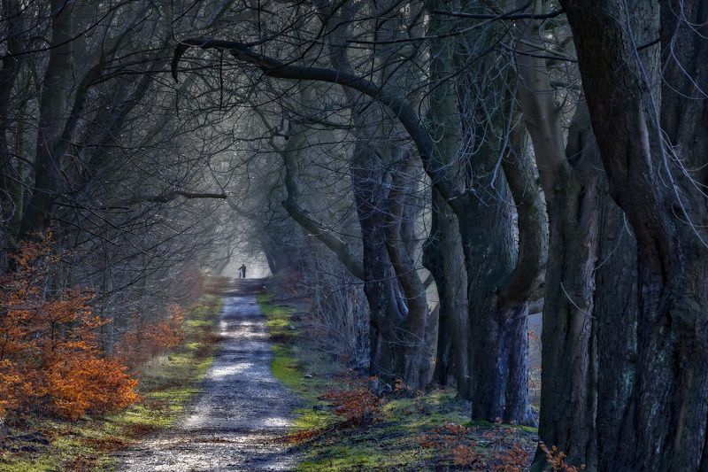 Поздняя осень в моем районеphoto preview