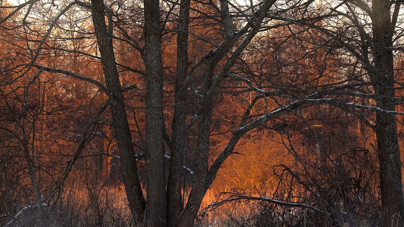 Контровичокphoto preview