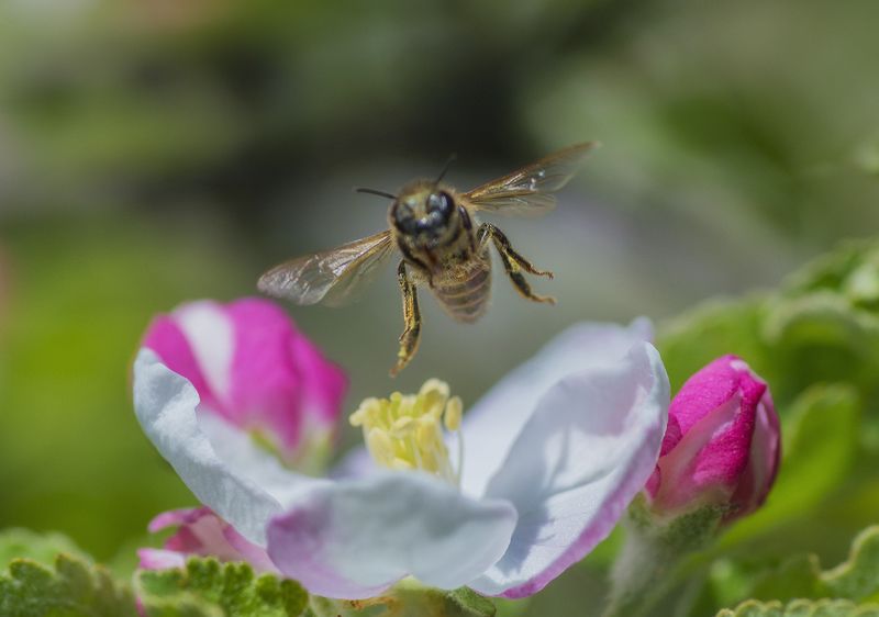 Take offphoto preview