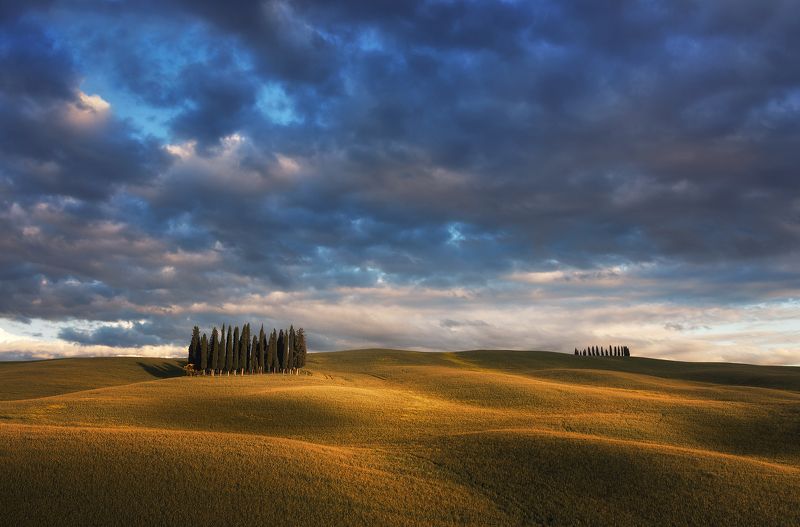 Тосканский велюрphoto preview