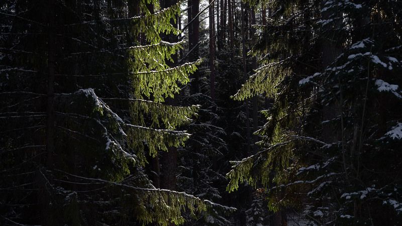 Луч солнца золотогоphoto preview