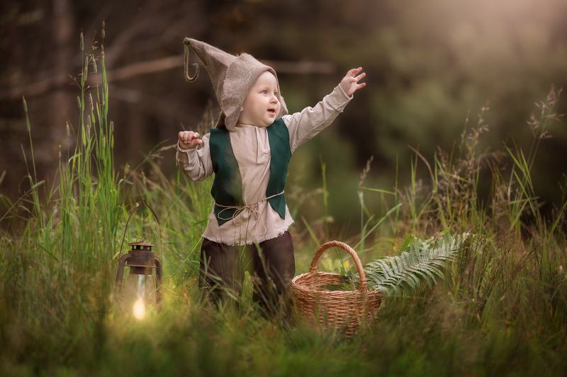 гномphoto preview