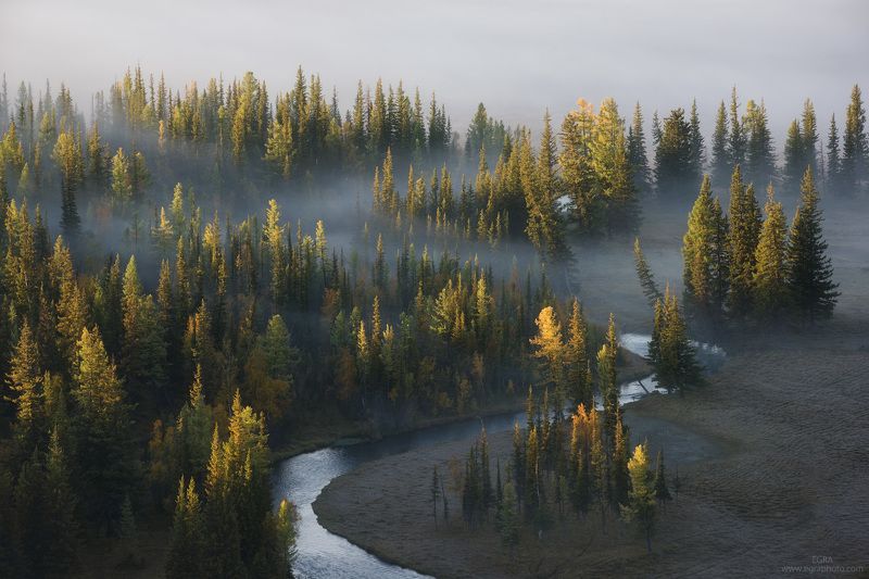 сибирь, алтай, курай, altai, altay, siberia Встреча фото превью