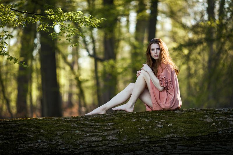 funky eye Forest Nymph Iphoto preview