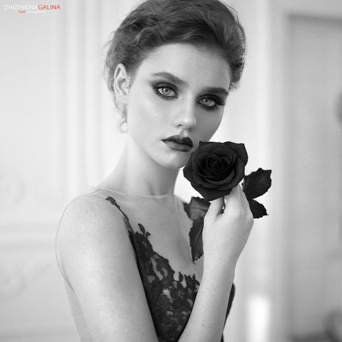 Черная роза