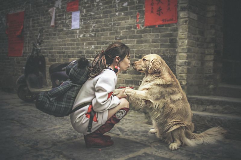 china, китай, farewell. расставание, kiss, поцелуй, moped, motorbike, мопед, teddy bear, мишка, street, девочка, chinese girl, путешествия, travel,  dog, собака, Я вернусь... Обещаю!photo preview