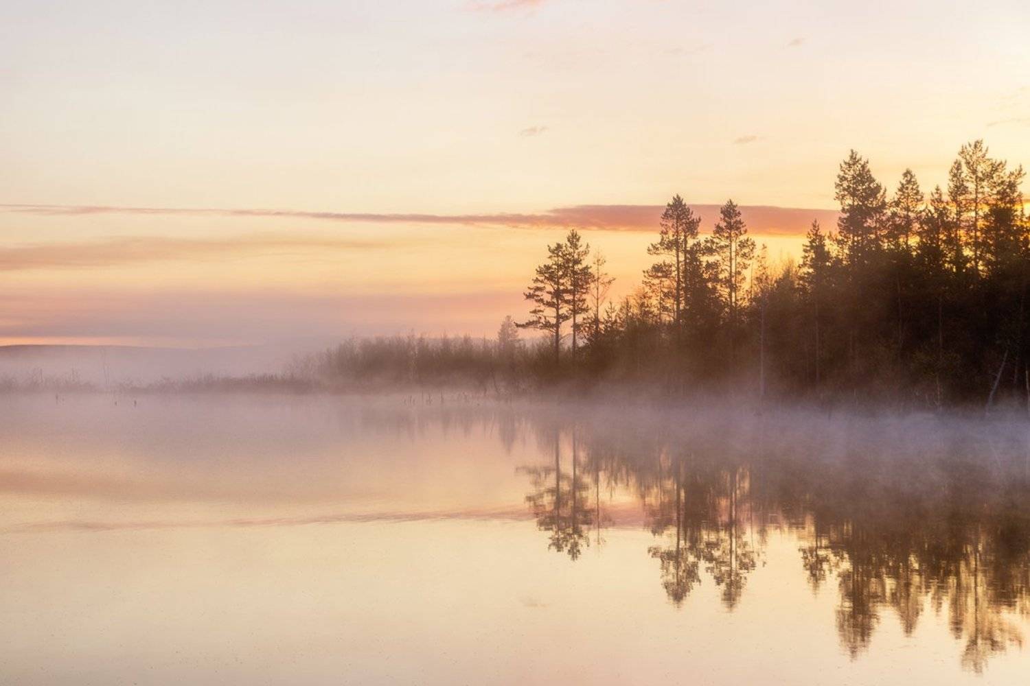 полярный,день,озеро,лес,отражение,, Матвеев Игорь