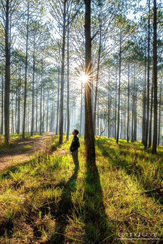 First lightphoto preview