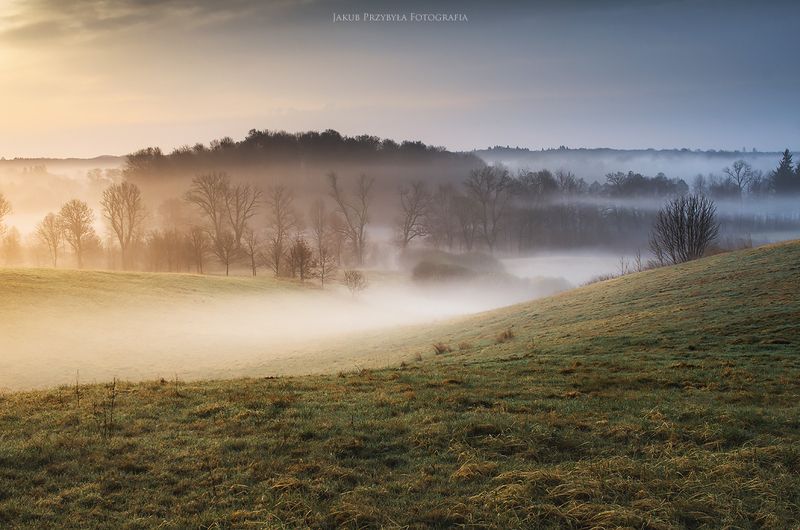 fog,spring Springphoto preview