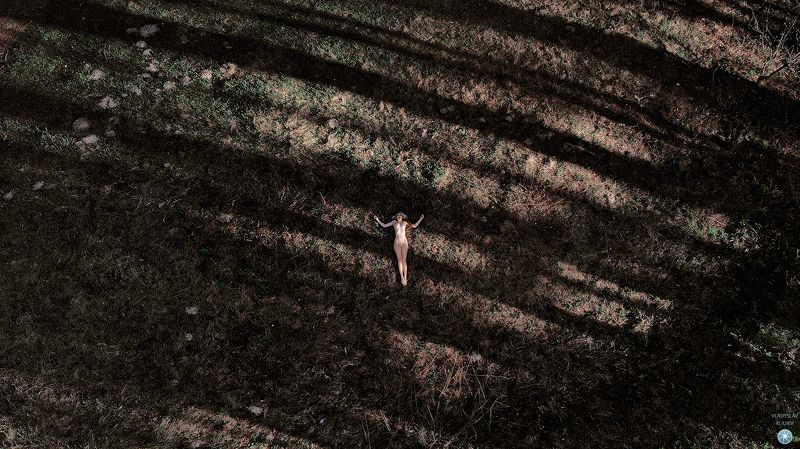 Под небомphoto preview