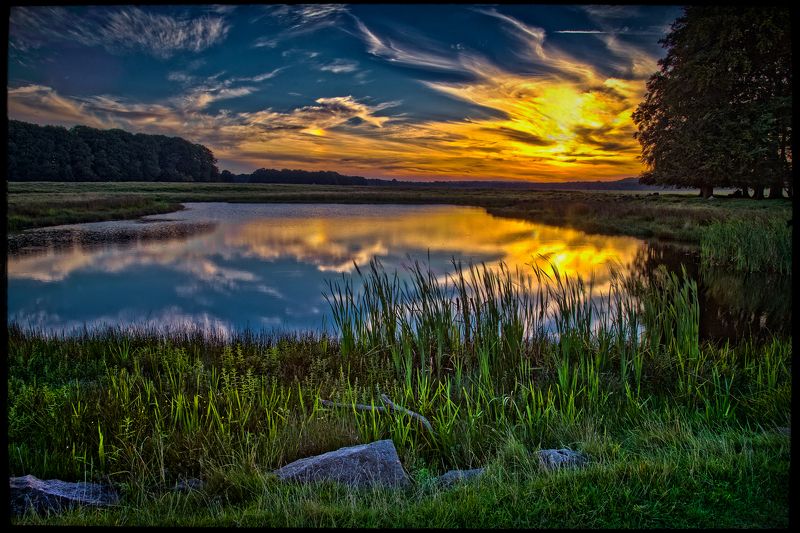 Dyrehavn 30photo preview