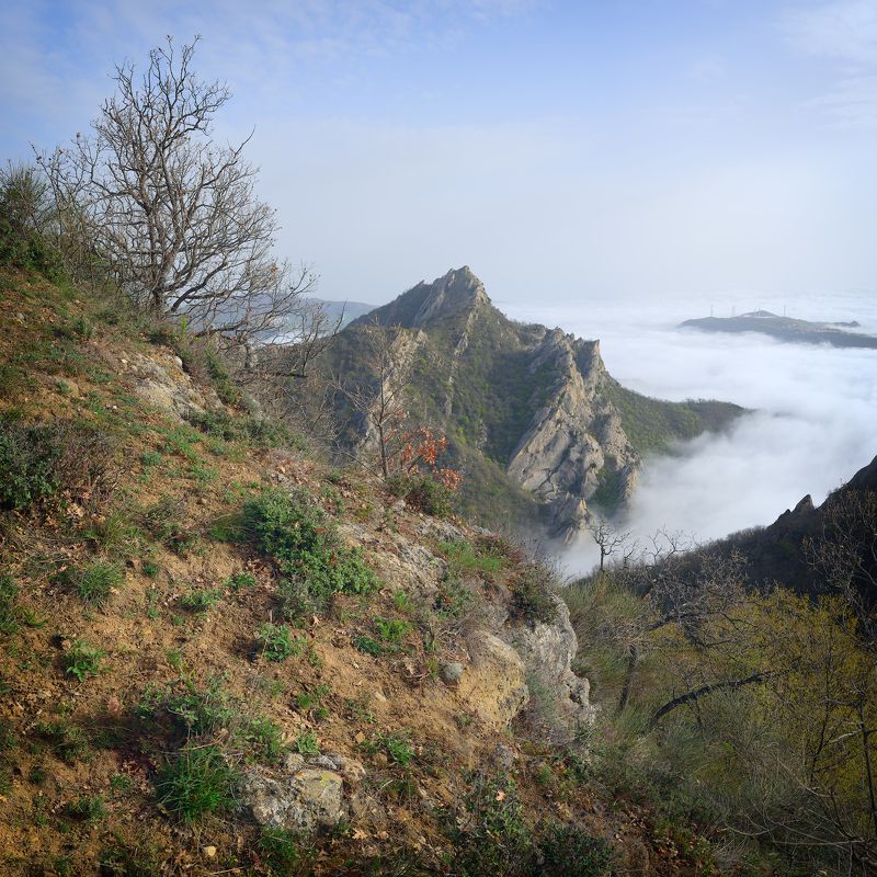 панорама, кастельмедзано, италия, горы, рассвет, пейзаж, туман Рассвет над Кастельмедзаноphoto preview