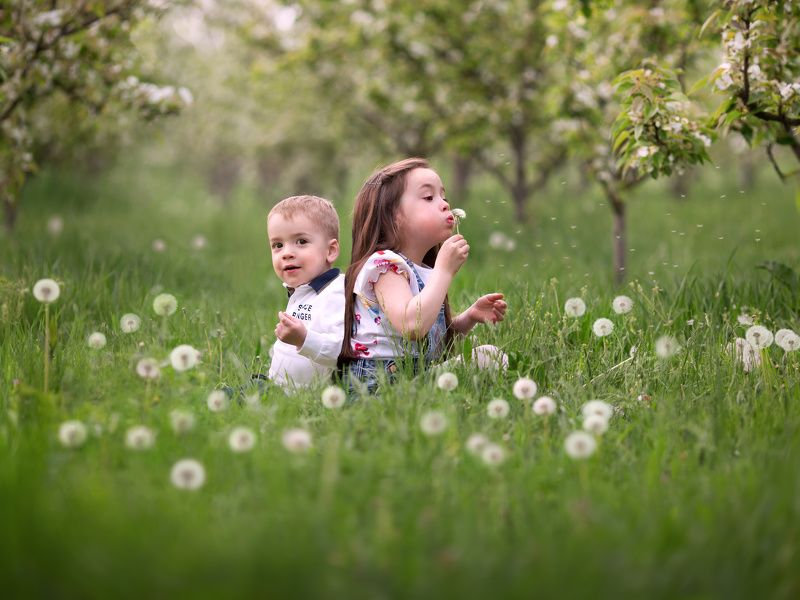 *** фото превью