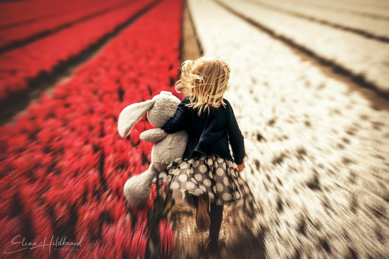 Holland Ispirationphoto preview