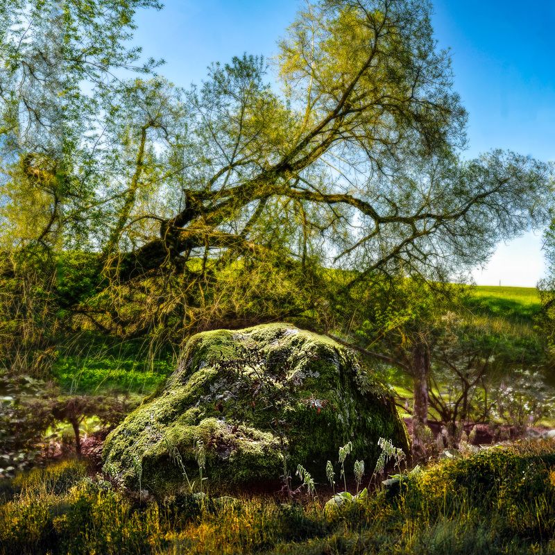 камень Каменьphoto preview