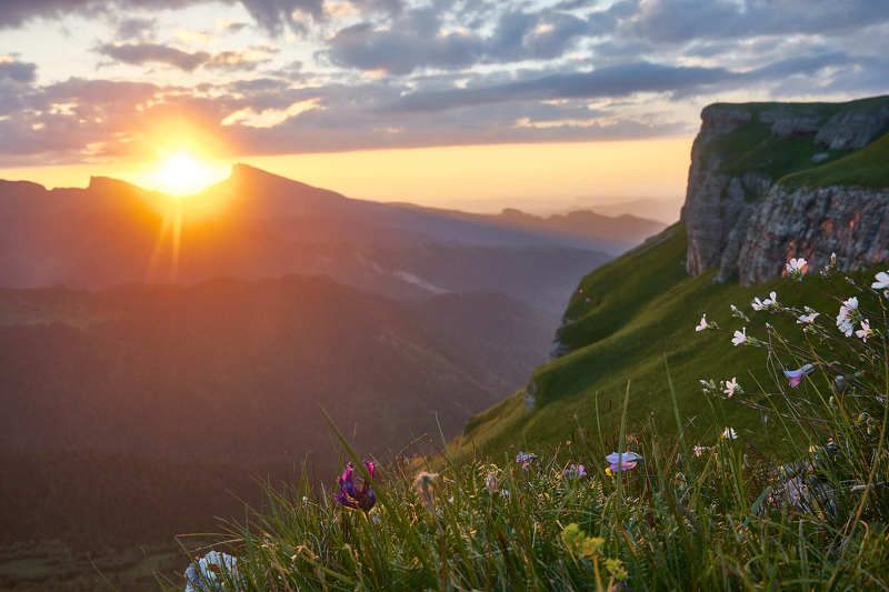 закат, горы, долина, цветы Вечерняя...photo preview