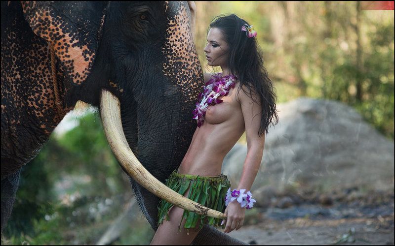 lucas, lucastudio, nude TANGO ELEPHANT ©photo preview