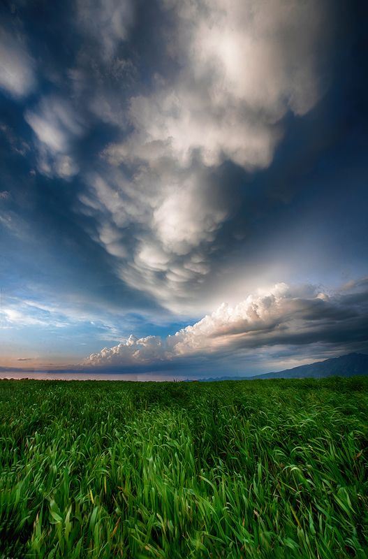 nature and wildlife photographyphoto preview