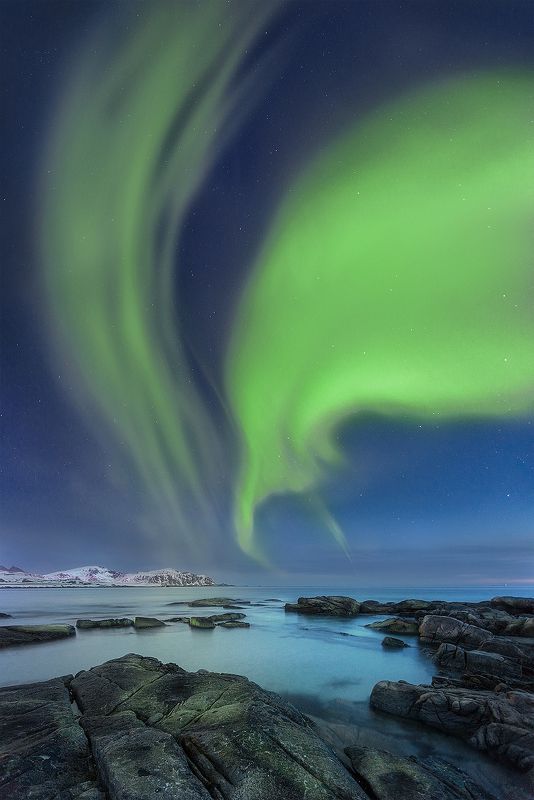aurora, Norway, beach, night, sky, stars, sea, Auroraphoto preview