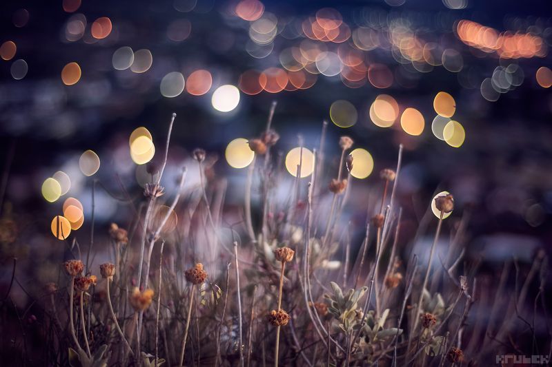 черногория, старый бар, боке Волшебные огни города Старый Барphoto preview