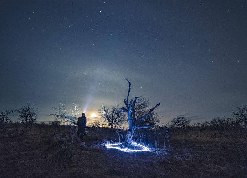 В заброшенном садуphoto preview