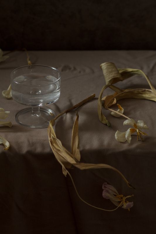 с сухими тюльпанамиphoto preview